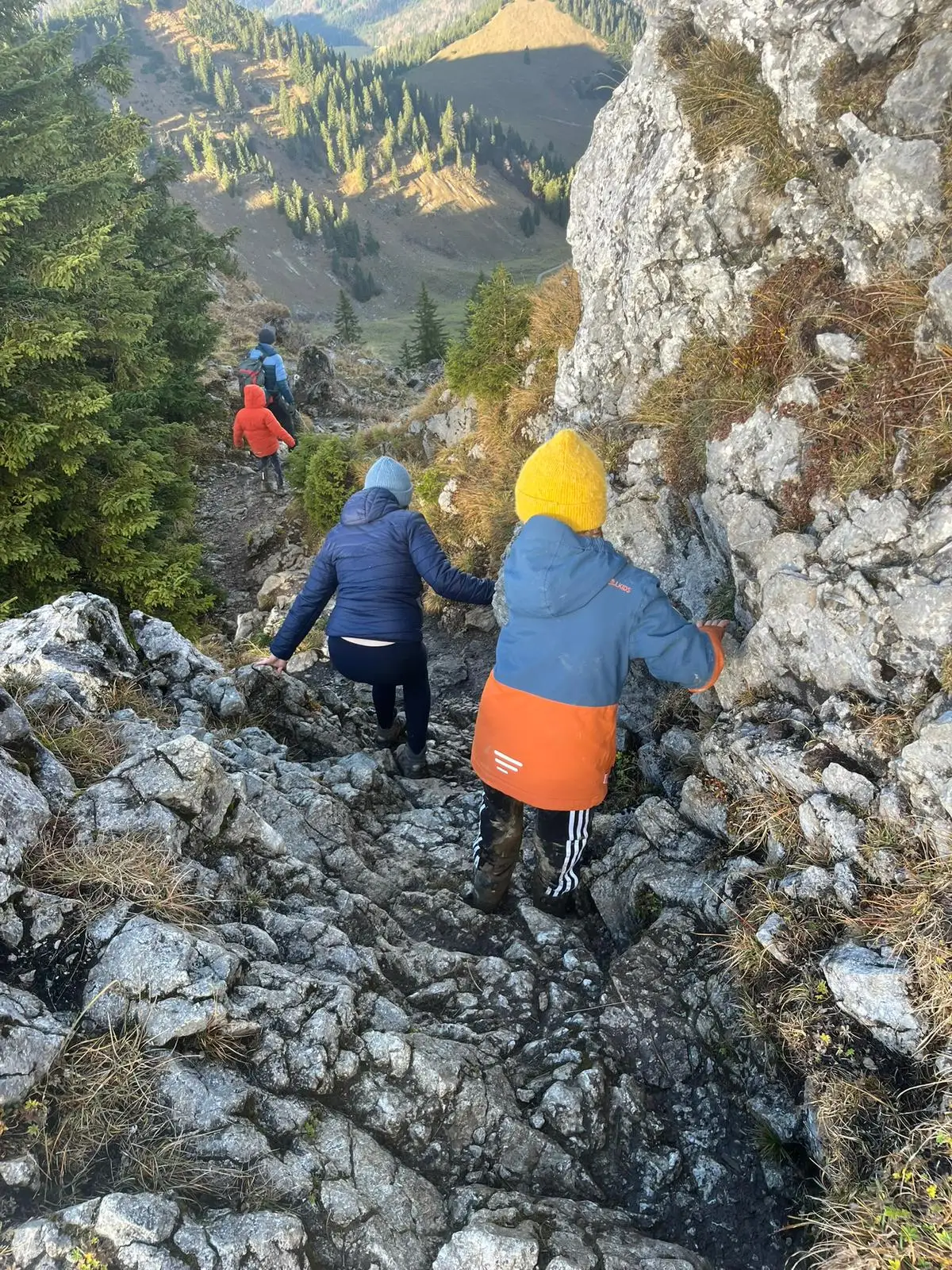 Systemische Familienberatung
